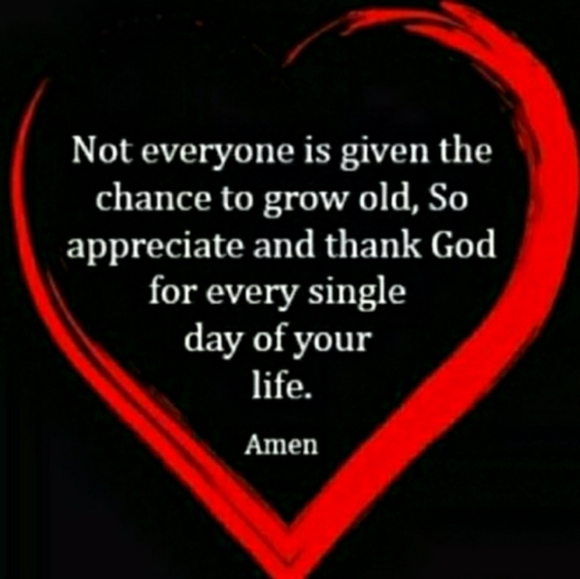 🫖 Genuine Fiesta Candles Box of Six 12" Copco Tapere - Picture 16 of 16